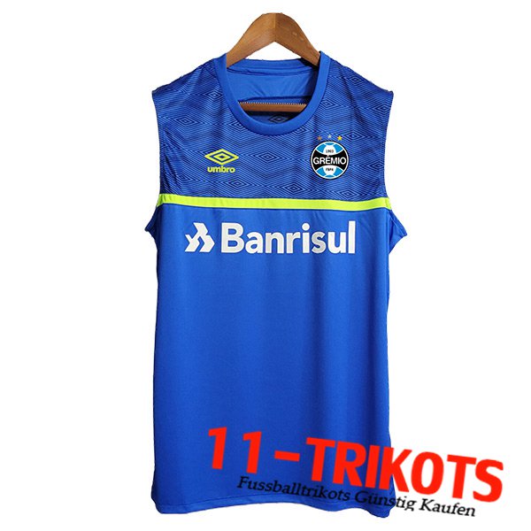 Gremio Trainings-Tanktop Blau 2023/2024