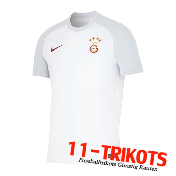 Galatasaray Auswärtstrikot 2023/2024