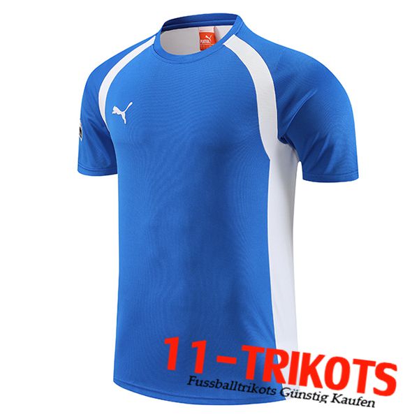 Puma Trainingstrikot Blau 2023/2024