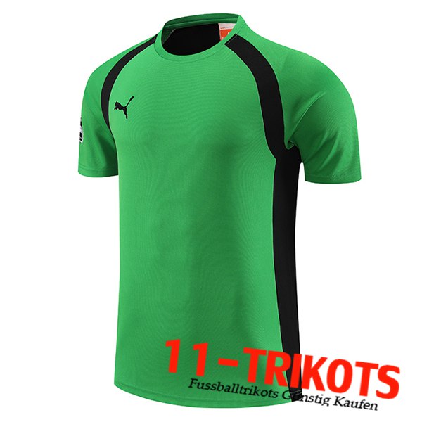 Puma Trainingstrikot Grün 2023/2024