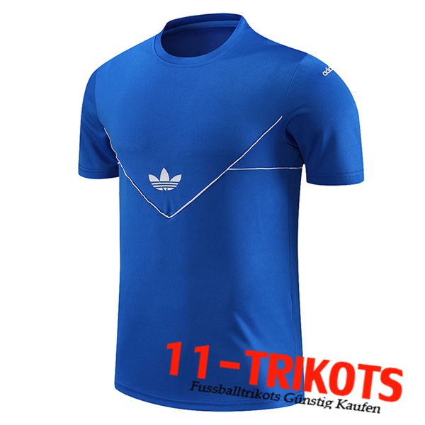 Adidas Trainingstrikot Blau 2023/2024