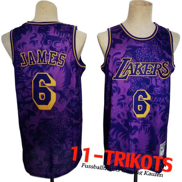 Los Angeles Lakers Trikots (JAMES #6) 2023/24 lila -02