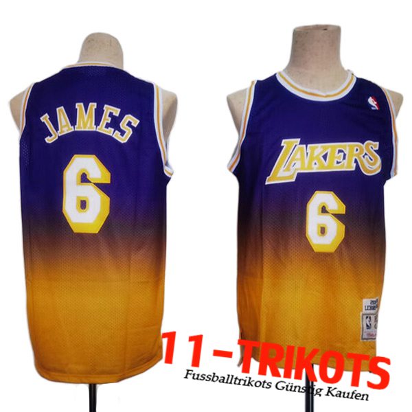 Los Angeles Lakers Trikots (JAMES #6) 2023/24 lila/Gelb