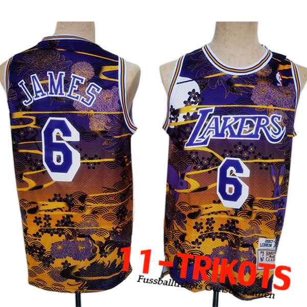 Los Angeles Lakers Trikots (JAMES #6) 2023/24 lila/Gelb -02