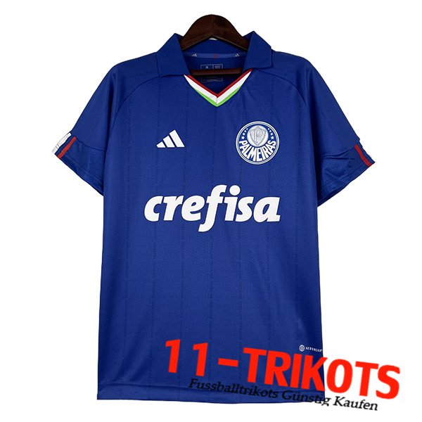 Palmeiras Fussball TrikotsSpecial Edition 2023/2024