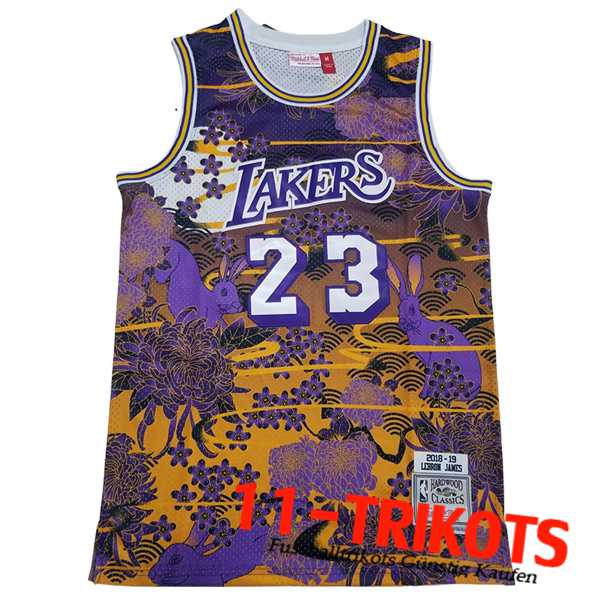 Los Angeles Lakers Trikots (JAMES #23) 2023/24 Gelb/lila