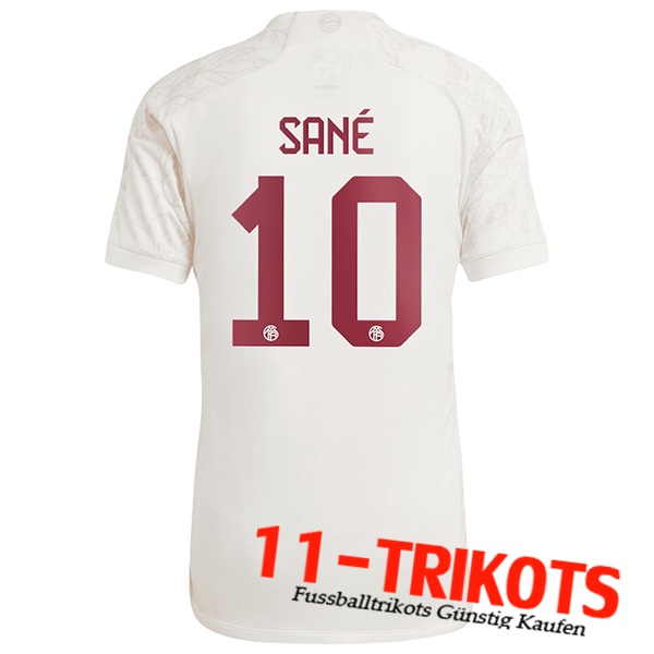 Bayern München (SANÉ #10) 2023/2024 Third Trikot