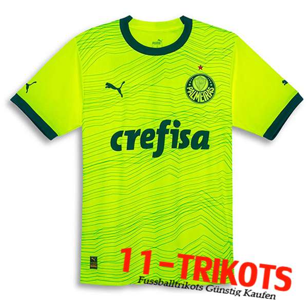 Palmeiras Third Trikot 2023/2024