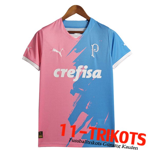 Palmeiras Trainingstrikot Blau/Rosa 2023/2024