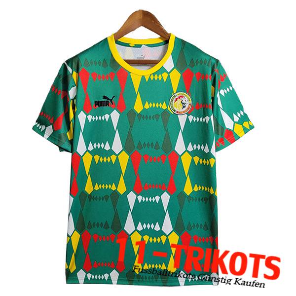 Senegal Heimtrikot 2023/2024