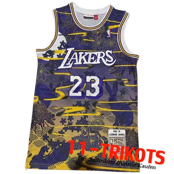 Los Angeles Lakers Trikot (JAMES #23) 2023/24 lila/Gelb