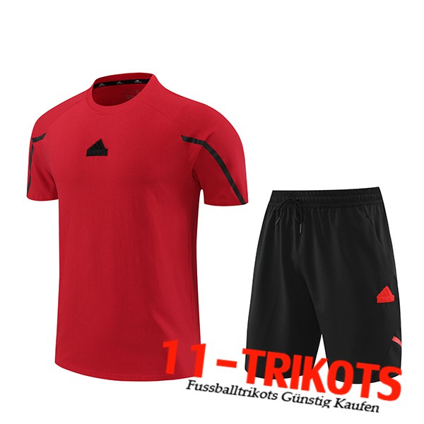 Adidas Trainingstrikot + Shorts Rot/Schwarz 2024/2025