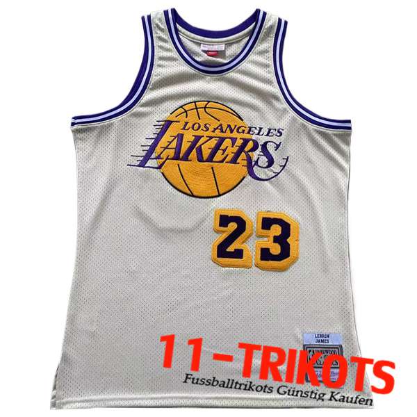 Los Angeles Lakers Trikot (JAMES #23) 2024/25 Beige/lila/Gelb