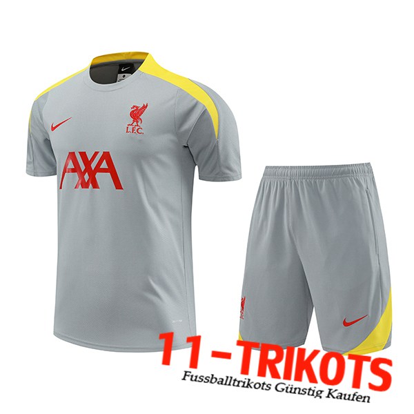 FC Liverpool Trainingstrikot + Shorts Grau/Rot/Gelb 2024/2025