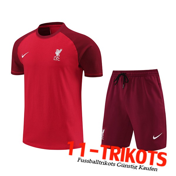 FC Liverpool Trainingstrikot + Shorts Rot 2024/2025