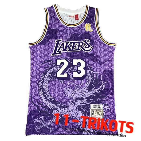 Los Angeles Lakers Trikot (JAMES #23) 2024/25 lila