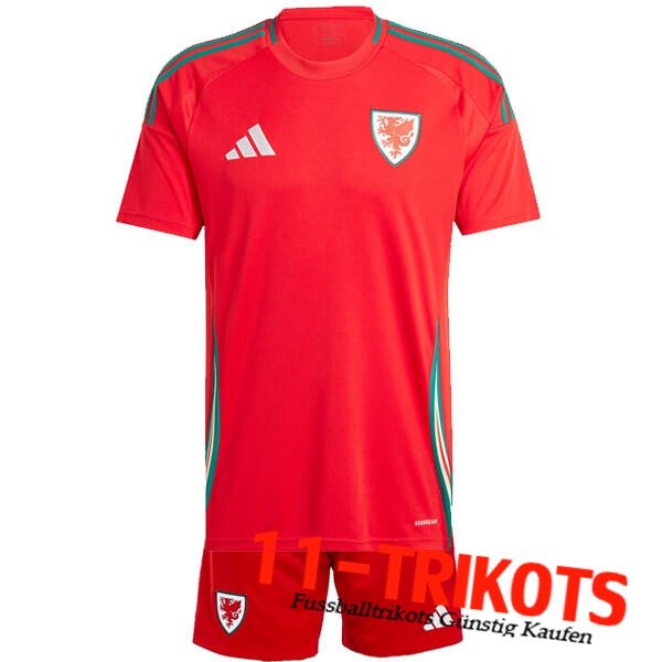 Wales Kinder Heimtrikot 2024/2025