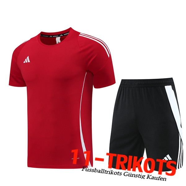 Adidas Trainingstrikot + Shorts Rot 2024/2025