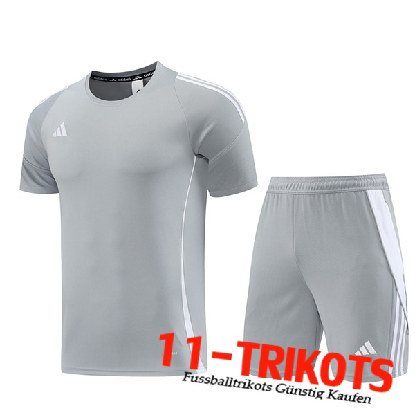 Adidas Trainingstrikot + Shorts Grau/Weiß 2024/2025