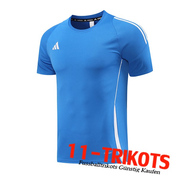 Adidas Trainingstrikot Blau 2024/2025