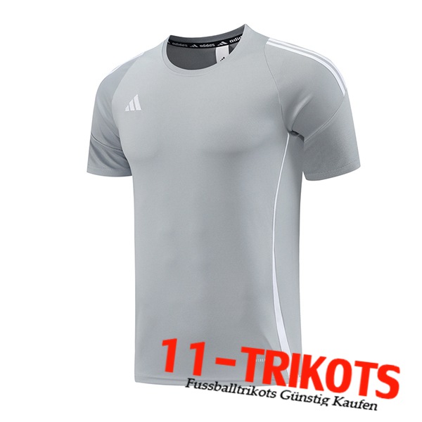 Adidas Trainingstrikot Grau/Weiß 2024/2025