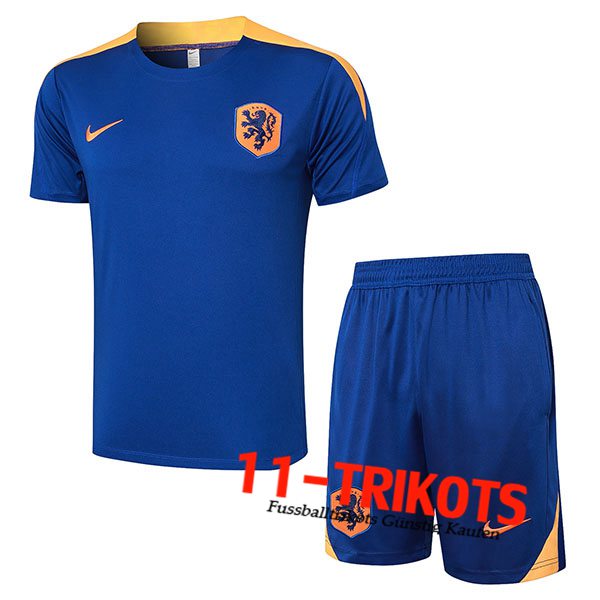 Niederlande Trainingstrikot + Shorts Blau/Gelb 2024/2025