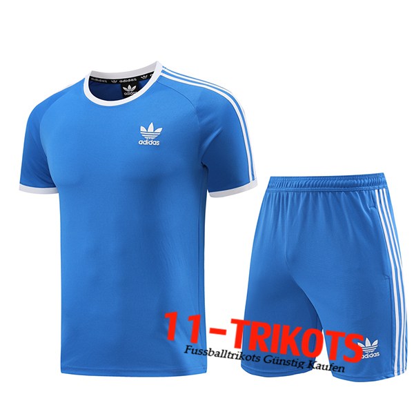 Adidas Trainingstrikot Blau 2024/2025