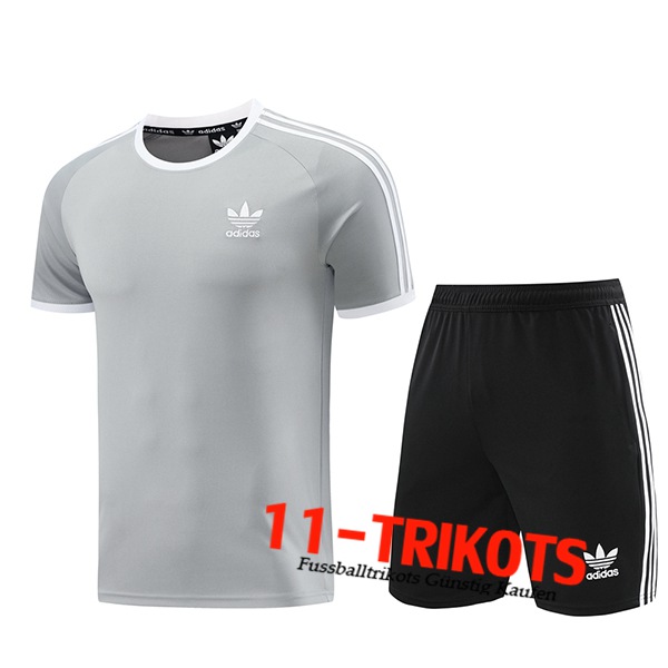 Adidas Trainingstrikot Grau 2024/2025