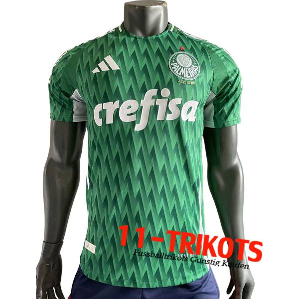 Palmeiras Fussball Trikots Special Edition Grün 2024/2025