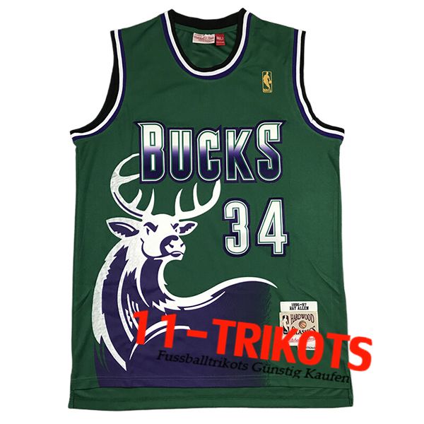 Milwaukee Bucks Trikot (ALLEN #34) 2025/26 Grün/lila