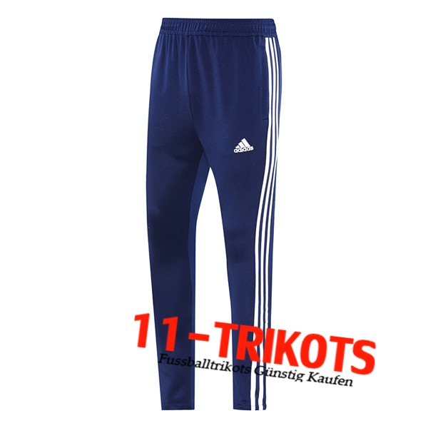 AdidasTrainingshose Blau/Weiß 2025/2026