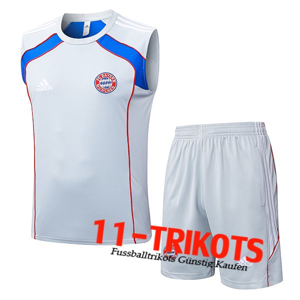 Bayern Munchen Trainings-Tanktop Grau/Rot/Blau 2025/2026