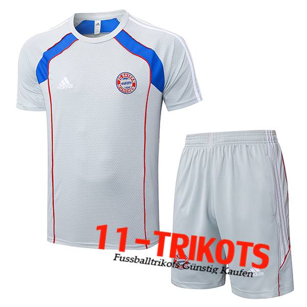 Bayern Munchen Trainingstrikot Grau/Rot/Blau 2025/2026