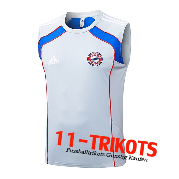 Bayern Munchen Trainings-Tanktop Grau/Rot/Blau 2025/2026
