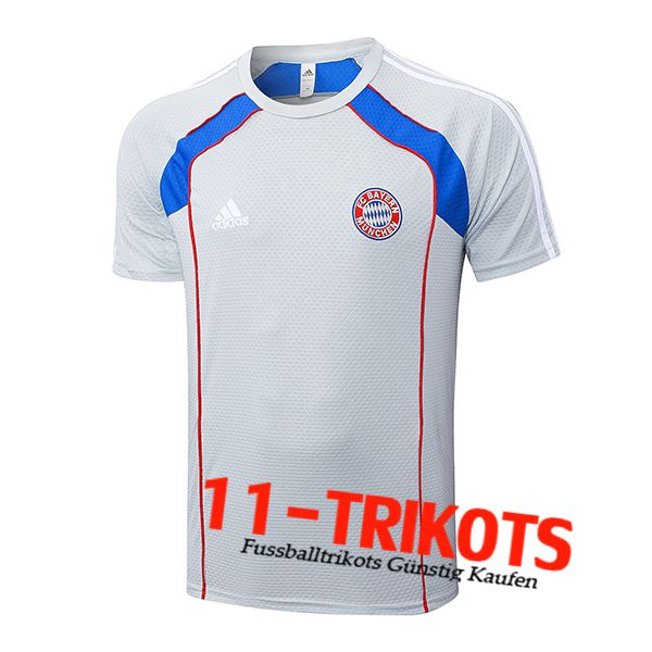 Bayern Munchen Trainingstrikot Grau/Rot/Blau 2025/2026