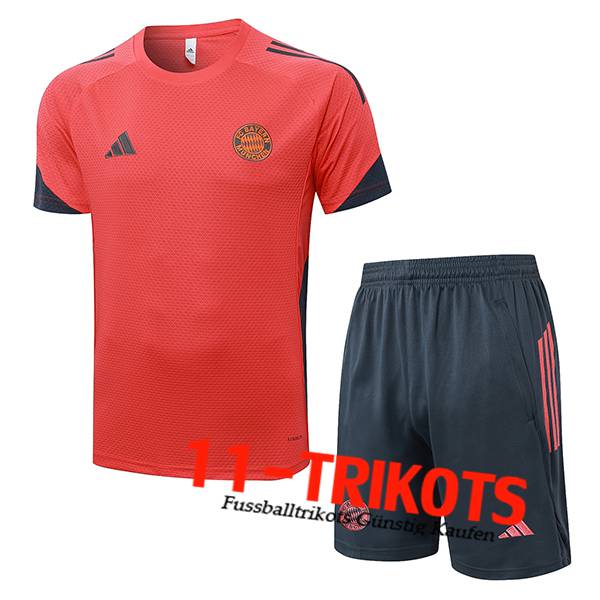 Bayern Munchen Trainingstrikot Grau/Orange 2025/2026