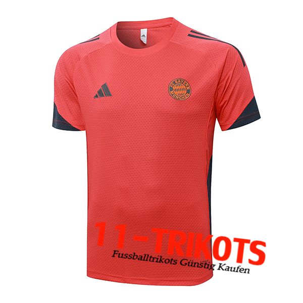 Bayern Munchen Trainingstrikot Grau/Orange 2025/2026