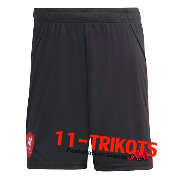 FC Liverpool Fussball Shorts Auswärtstrikot 2025/2026