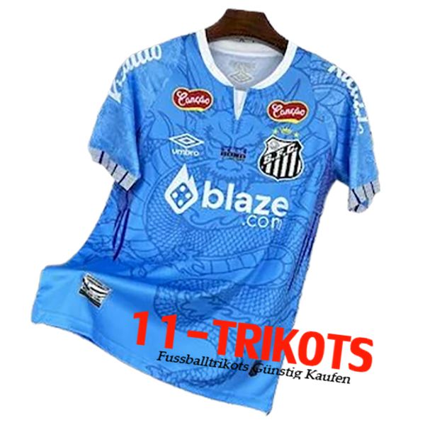 Santos Trainingstrikot Blau 2025/2026