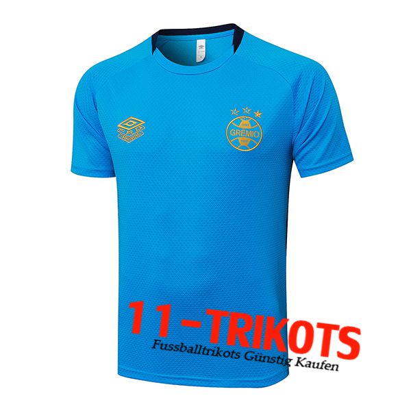 Gremio Trainingstrikot Blau 2025/2026