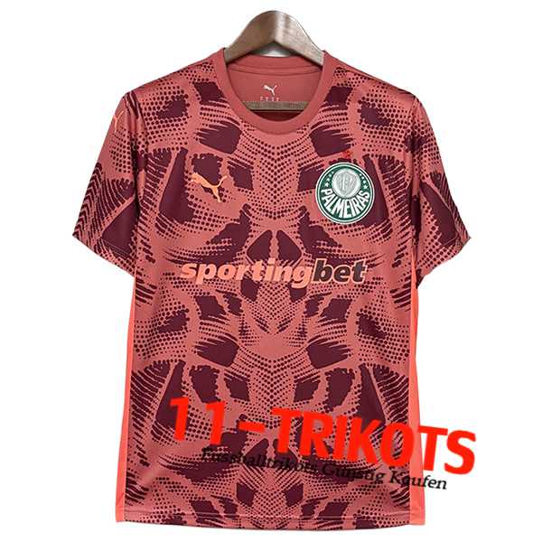 Palmeiras Fussball Trikots Torhuter Rot 2025/2026
