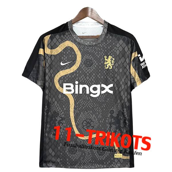 Chelsea Fussball Trikots Special Edition Grau 2025/2026
