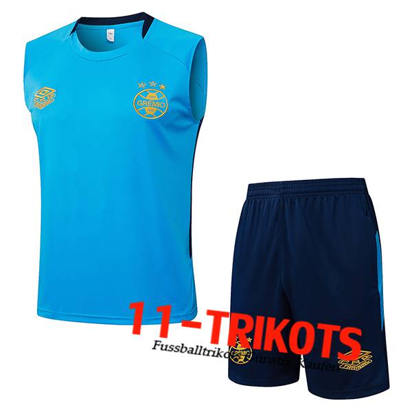 Gremio Trainings-Tanktops Blau 2025/2026