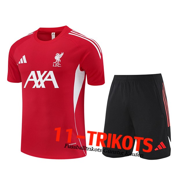 FC Liverpool Trainingstrikot Rot/Weiß 2025/2026