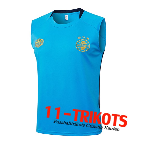 Gremio Trainings-Tanktops Blau 2025/2026