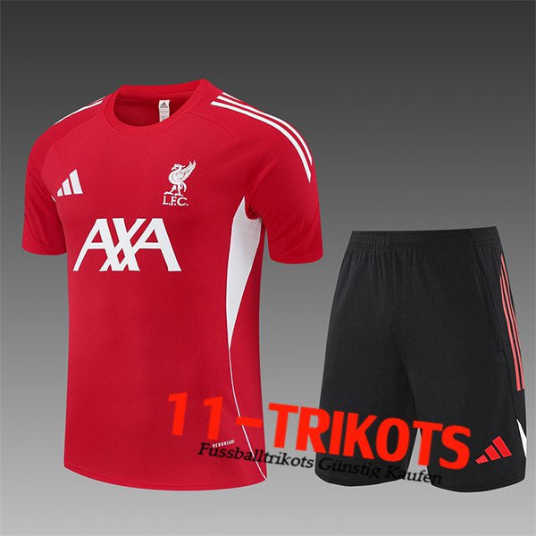FC Liverpool Trainingstrikot Kinder Rot/Weiß 2025/2026