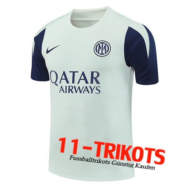 Inter Milan Trainingstrikot Grün/Blau 2025/2026