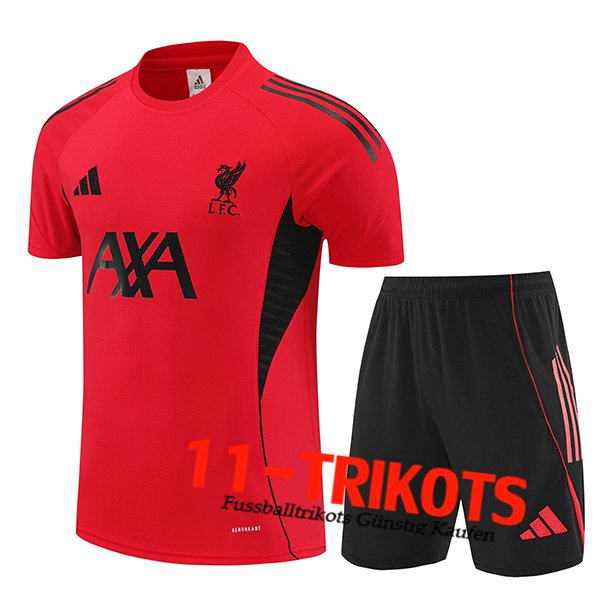 FC Liverpool Trainingstrikot Rot/Schwarz 2025/2026
