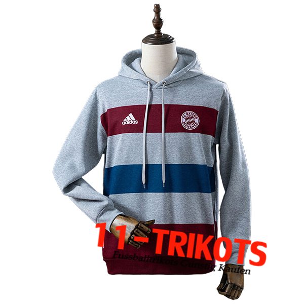 Bayern Munchen Training Sweatshirt Mit Kapuze Grau/Rot/Blau 2025/2026