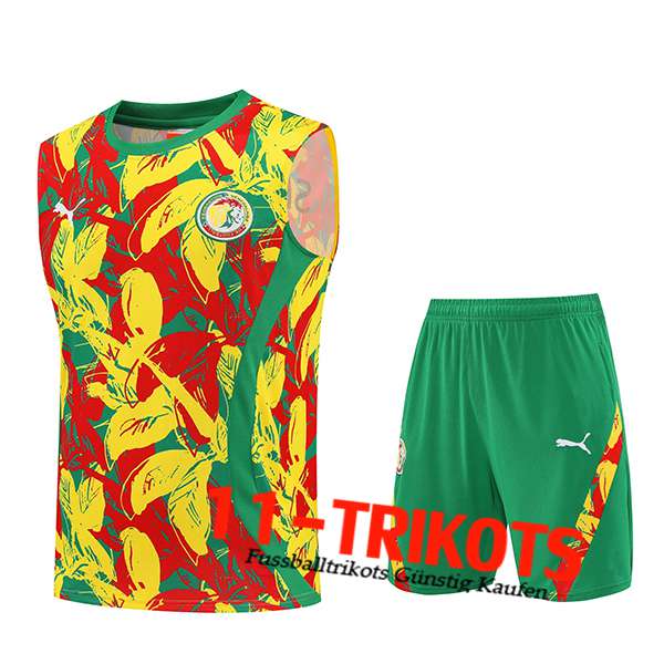 Senegal Tanktoppakken Geel/Rood/Groente 2025/2026